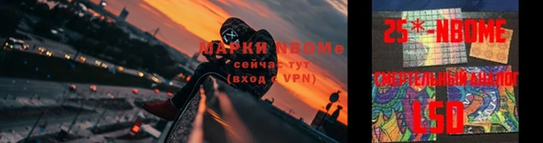 крисы Алексин
