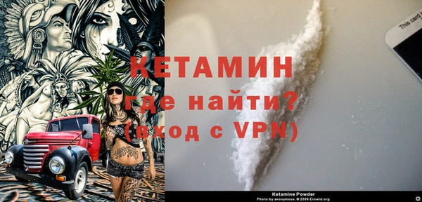 крисы Алексин