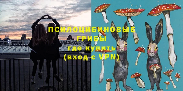 крисы Алексин